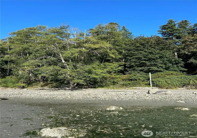 Photo 3 of Land for sale at 111 Seven Sisters Beach, Port Ludlow, WA 98365 | MLS# NWM2498812 | Listing updated on 2026-09-17