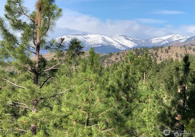 Photo 1 of Land for sale at 0 Nna Cooper Mountain Rd, Manson, WA 98831 | MLS# NWM2498823 | Listing updated on 2026-09-17