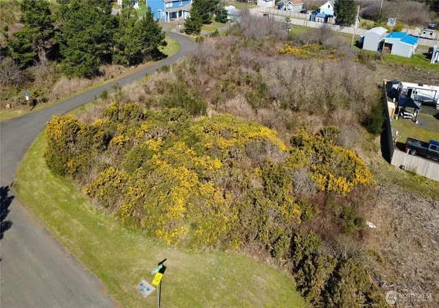 Photo 2 of Land for sale at 1 Francis Seamore Ln, Grayland, WA 98547 | MLS# NWM2499213 | Listing updated on 2026-09-17