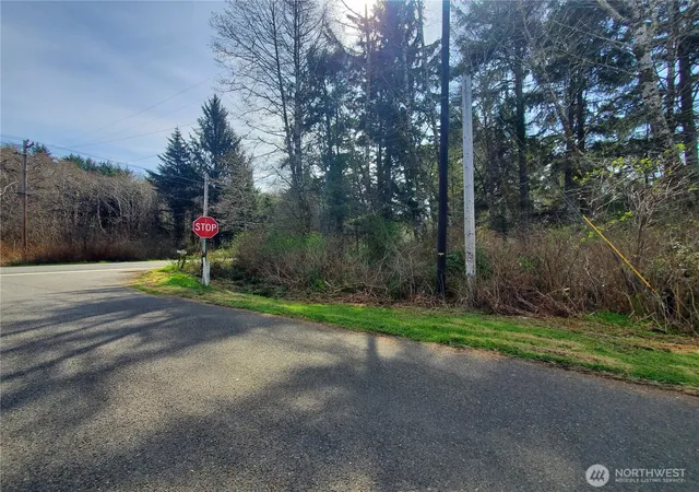 Photo 2 of Land for sale at 0 Sr 109, Copalis Beach, WA 98535 | MLS# NWM2499292 | Listing updated on 2026-09-17