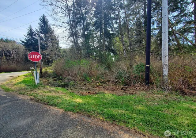 Photo 3 of Land for sale at 0 Sr 109, Copalis Beach, WA 98535 | MLS# NWM2499292 | Listing updated on 2026-09-17