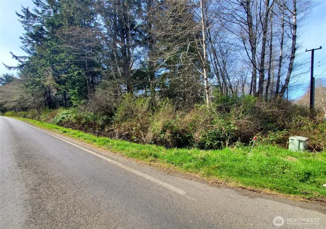 Photo 4 of Land for sale at 0 Sr 109, Copalis Beach, WA 98535 | MLS# NWM2499292 | Listing updated on 2026-09-17
