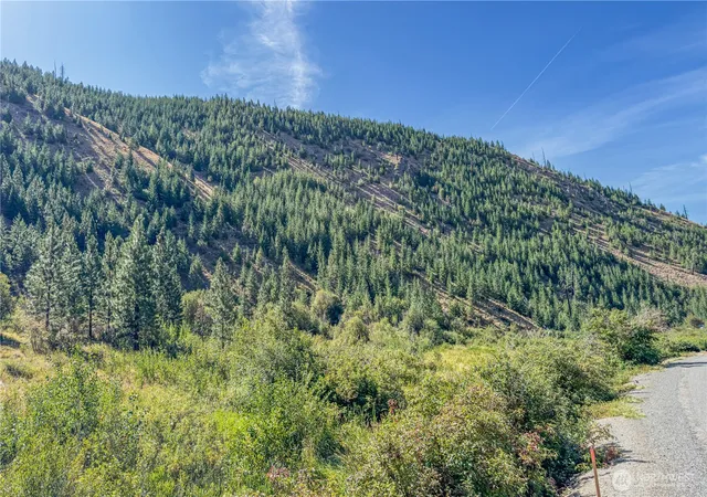 Land for sale at 10558 Mud Crk Rd, Entiat, WA 98822 | MLS# NWM2499563