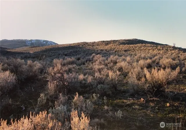 Photo 3 of Land for sale at 338 Palmer Mountain Rd, Oroville, WA 98844 | MLS# NWM2499643 | Listing updated on 2026-10-01