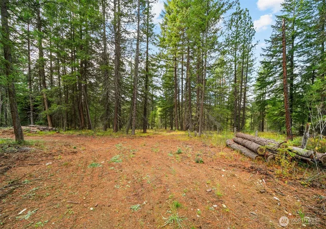 Photo 3 of Land for sale at 0 S Shugart Flats Rd, Leavenworth, WA 98826 | MLS# NWM2499686 | Listing updated on 2026-09-17