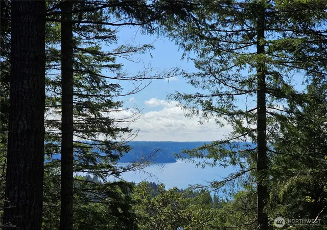Photo 2 of Land for sale at 753 Jupiter Loop, Brinnon, WA 98320 | MLS# NWM2500053 | Listing updated on 2026-09-17