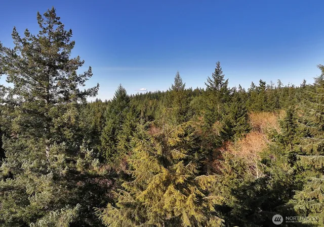 Land for sale at 0 Xxx Sr 525, Langley, WA 98260 | MLS# NWM2500419