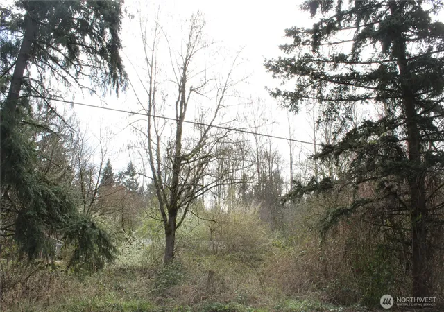 Photo 3 of Land for sale at 0 121 Street E, Tacoma, WA 98445 | MLS# NWM2500554 | Listing updated on 2026-09-17