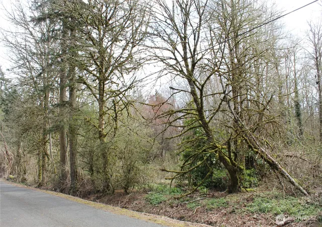 Photo 4 of Land for sale at 0 121 Street E, Tacoma, WA 98445 | MLS# NWM2500554 | Listing updated on 2026-09-17