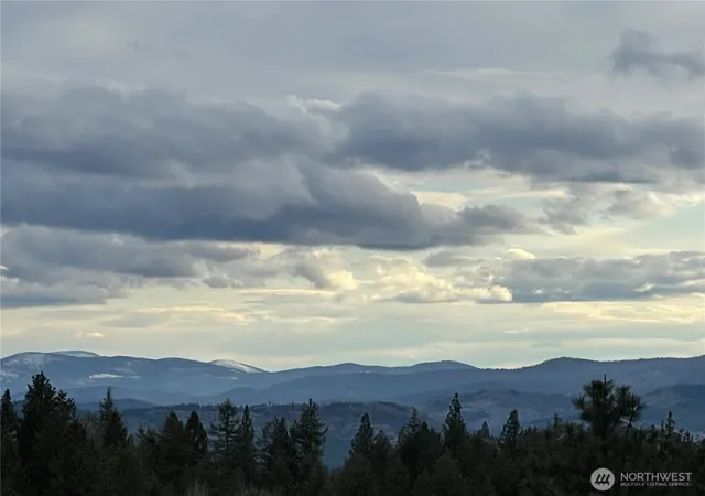 Photo 4 of Single family home for sale at 50 Doll Dr, Republic, WA 99166 | MLS# NWM2500588 | Listing updated on 2026-09-17