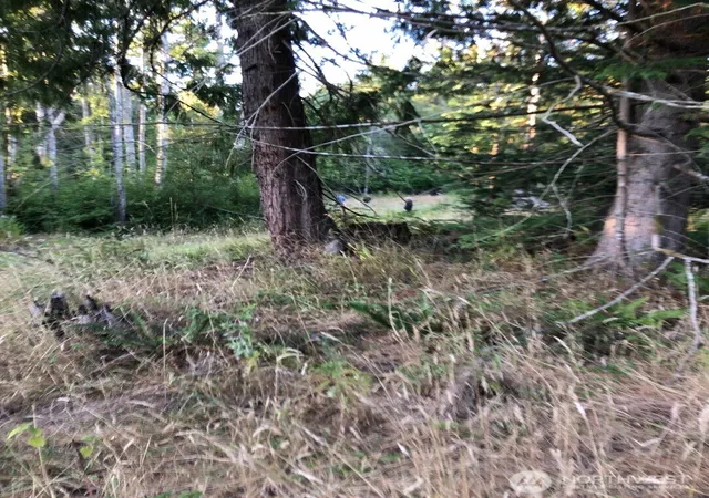 Photo 2 of Land for sale at 121 N Bagley Crk Rd, Port Angeles, WA 98362 | MLS# NWM2500758 | Listing updated on 2026-09-17