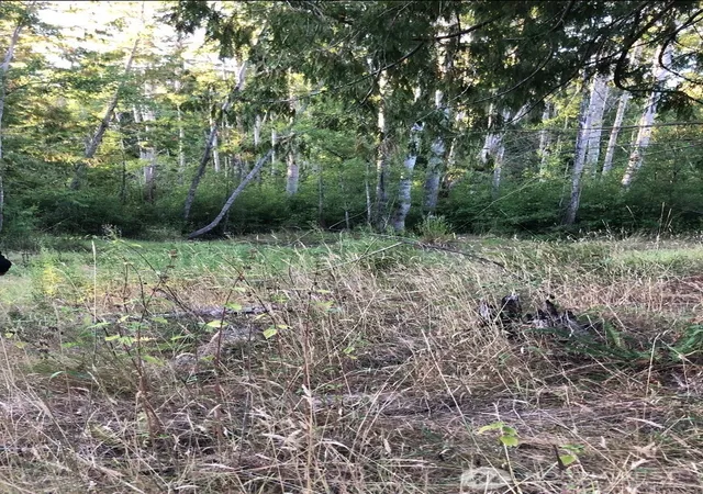 Photo 3 of Land for sale at 121 N Bagley Crk Rd, Port Angeles, WA 98362 | MLS# NWM2500758 | Listing updated on 2026-09-17
