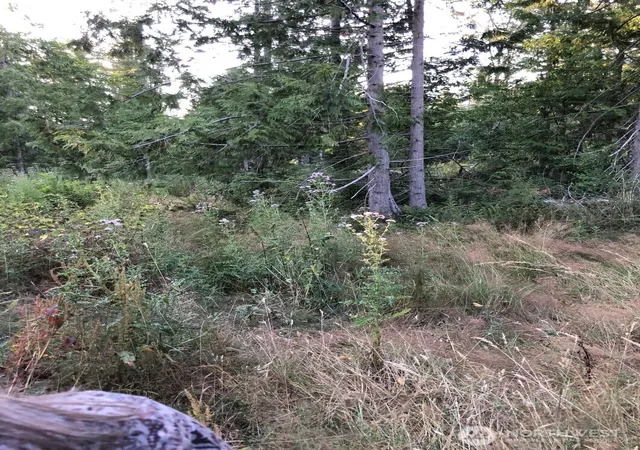Photo 3 of Land for sale at 121 N Bagley Crk Rd, Port Angeles, WA 98362 | MLS# NWM2500758 | Listing updated on 2026-09-17