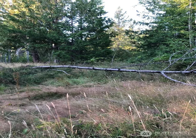 Photo 4 of Land for sale at 121 N Bagley Crk Rd, Port Angeles, WA 98362 | MLS# NWM2500758 | Listing updated on 2026-09-17