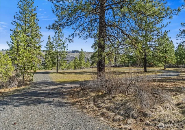 Photo 3 of Land for sale at 38800 E Sand Flats, Davenport, WA 99122 | MLS# NWM2500898 | Listing updated on 2026-09-17