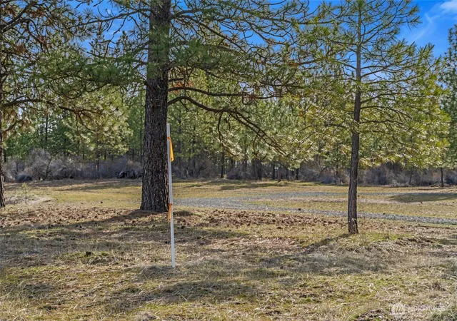 Photo 3 of Land for sale at 38800 E Sand Flats, Davenport, WA 99122 | MLS# NWM2500898 | Listing updated on 2026-09-17