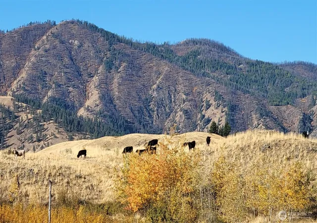 Photo 3 of Land for sale at 0 Harrier Ln, Tonasket, WA 98855 | MLS# NWM2500975 | Listing updated on 2026-09-17