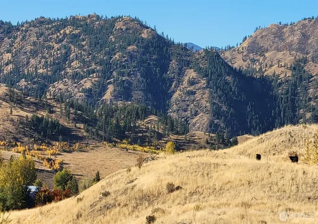 Photo 3 of Land for sale at 0 Harrier Ln, Tonasket, WA 98855 | MLS# NWM2500975 | Listing updated on 2026-09-17