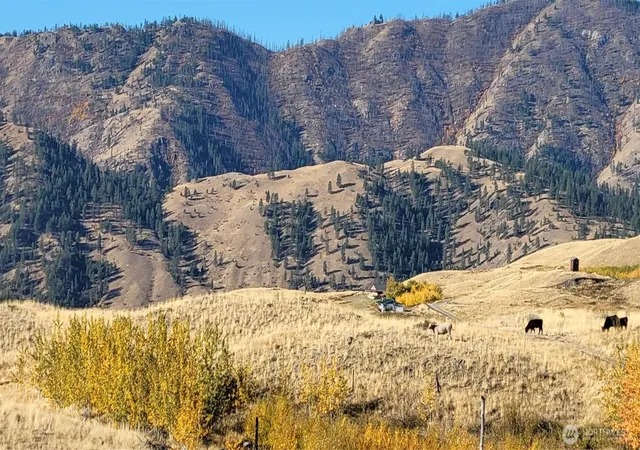 Photo 4 of Land for sale at 0 Harrier Ln, Tonasket, WA 98855 | MLS# NWM2500975 | Listing updated on 2026-09-17