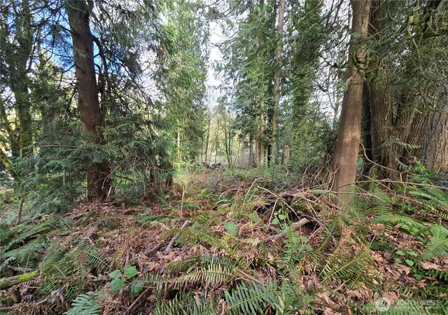 Photo 2 of Land for sale at 54 S Xx 344th St, Auburn, WA 98001 | MLS# NWM2501190 | Listing updated on 2026-09-17