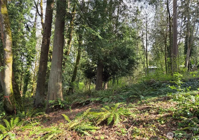 Photo 3 of Land for sale at 54 S Xx 344th St, Auburn, WA 98001 | MLS# NWM2501190 | Listing updated on 2026-09-17