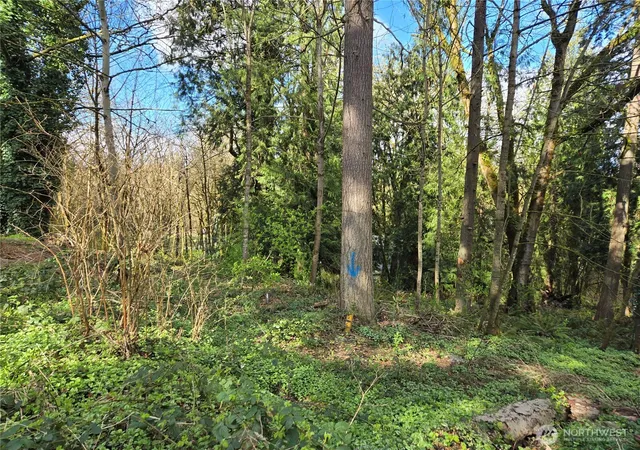 Photo 3 of Land for sale at 54 S Xx 344th St, Auburn, WA 98001 | MLS# NWM2501190 | Listing updated on 2026-09-17