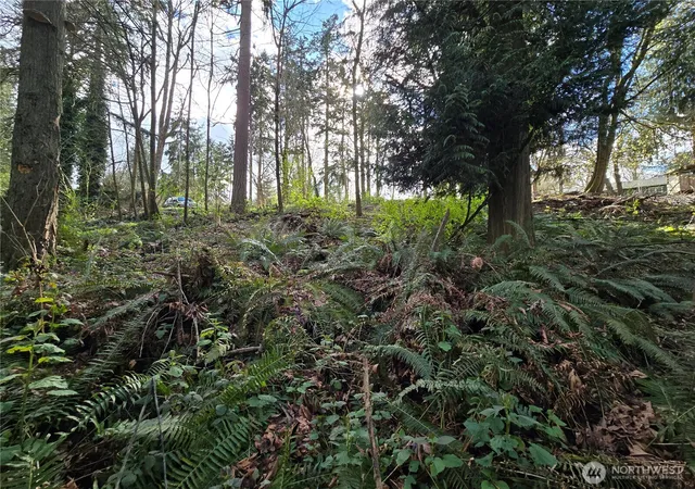 Photo 4 of Land for sale at 54 S Xx 344th St, Auburn, WA 98001 | MLS# NWM2501190 | Listing updated on 2026-09-17