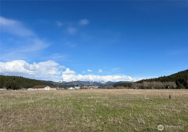 Photo 3 of Land for sale at 0 Xxx Red Brg Rd, Cle Elum, WA 98922 | MLS# NWM2501200 | Listing updated on 2026-09-17