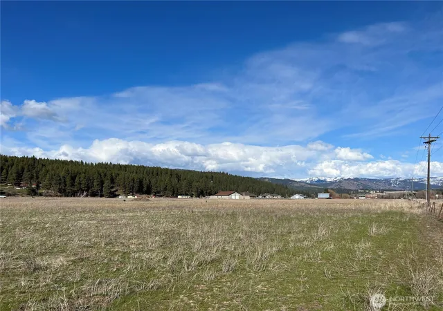 Photo 4 of Land for sale at 0 Xxx Red Brg Rd, Cle Elum, WA 98922 | MLS# NWM2501200 | Listing updated on 2026-09-17