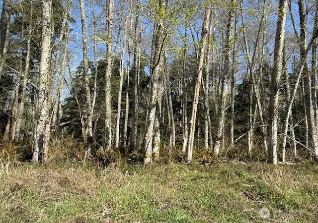 Photo 1 of Land for sale at 0 Lot 16 Ander Park Rd, Freeland, WA 98249 | MLS# NWM2501241 | Listing updated on 2026-09-17