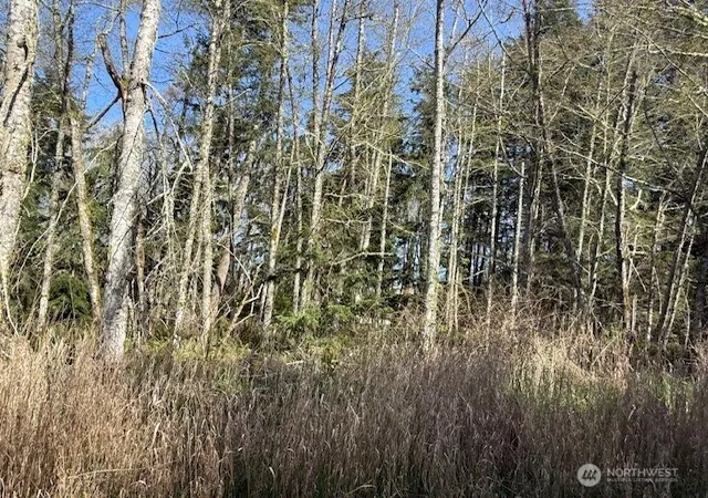 Photo 2 of Land for sale at 0 Lot 16 Ander Park Rd, Freeland, WA 98249 | MLS# NWM2501241 | Listing updated on 2026-09-17