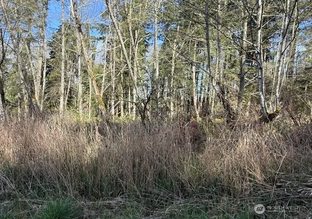 Photo 3 of Land for sale at 0 Lot 16 Ander Park Rd, Freeland, WA 98249 | MLS# NWM2501241 | Listing updated on 2026-09-17