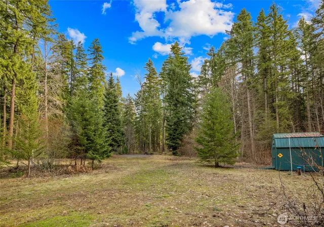 Photo 3 of Land for sale at 91 Blue Spruce Dr, Easton, WA 98925 | MLS# NWM2501333 | Listing updated on 2026-09-17