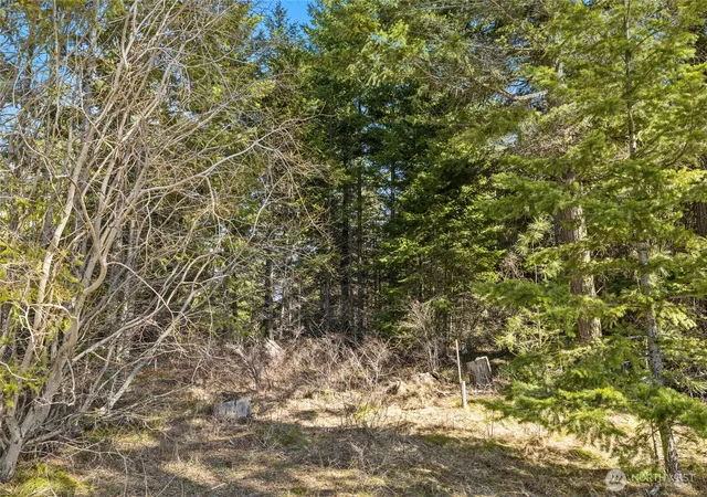 Photo 2 of Land for sale at 78 Forest Ridge (lot 78) Dr, Cle Elum, WA 98922 | MLS# NWM2501473 | Listing updated on 2026-09-17