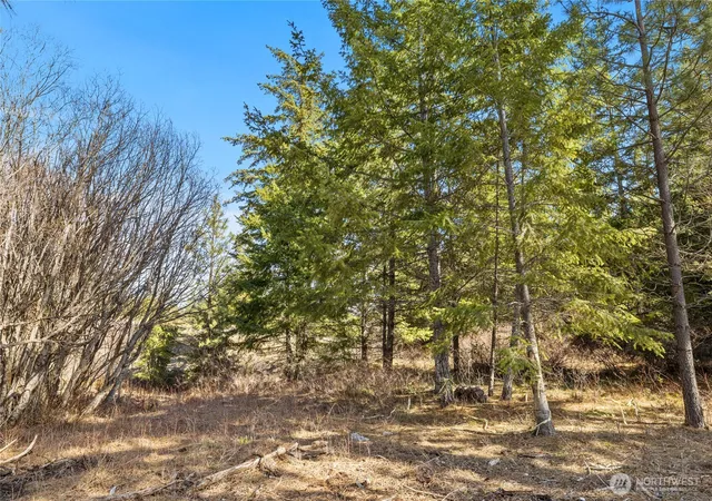 Photo 3 of Land for sale at 78 Forest Ridge (lot 78) Dr, Cle Elum, WA 98922 | MLS# NWM2501473 | Listing updated on 2026-09-17