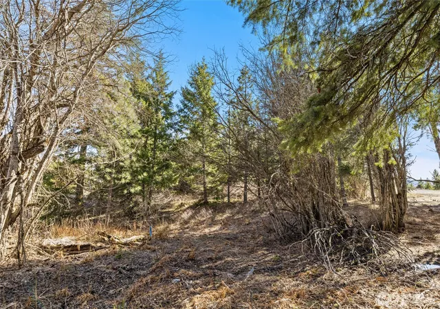 Photo 3 of Land for sale at 78 Forest Ridge (lot 78) Dr, Cle Elum, WA 98922 | MLS# NWM2501473 | Listing updated on 2026-09-17