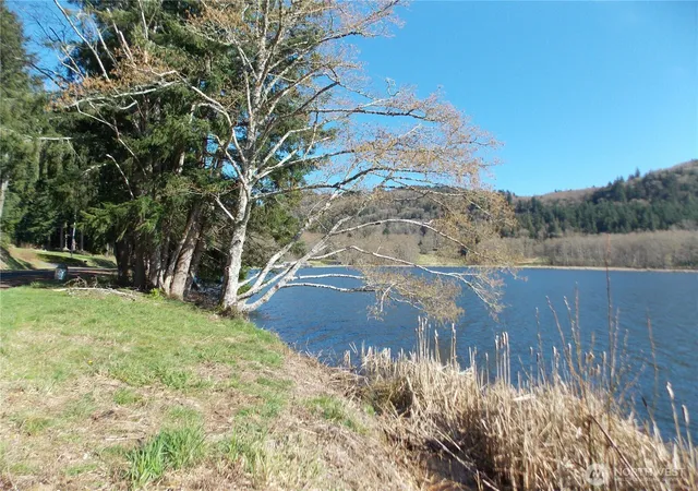 Photo 3 of Land for sale at 150 Elk Ridge Rd, Mossyrock, WA 98564 | MLS# NWM2501703 | Listing updated on 2026-09-17