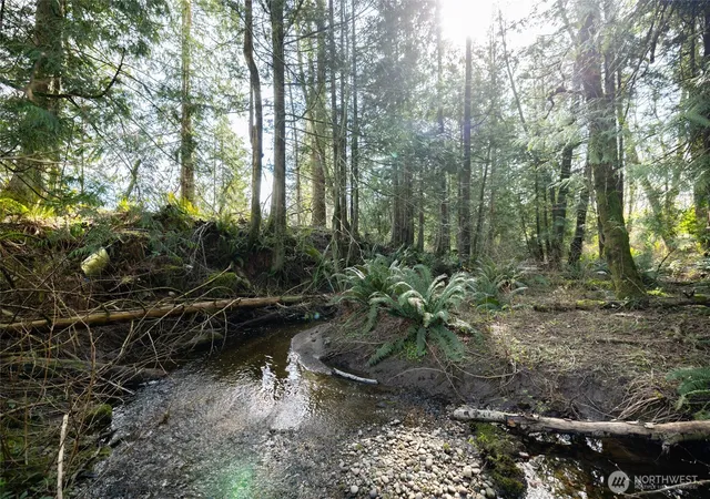 Photo 3 of Land for sale at 0 Nhn H St Rd, Blaine, WA 98230 | MLS# NWM2501721 | Listing updated on 2026-09-17