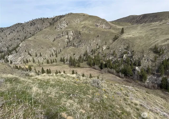 Photo 3 of Land for sale at 2830 Antoine Crk Rd, Chelan, WA 98816 | MLS# NWM2501755 | Listing updated on 2026-09-17