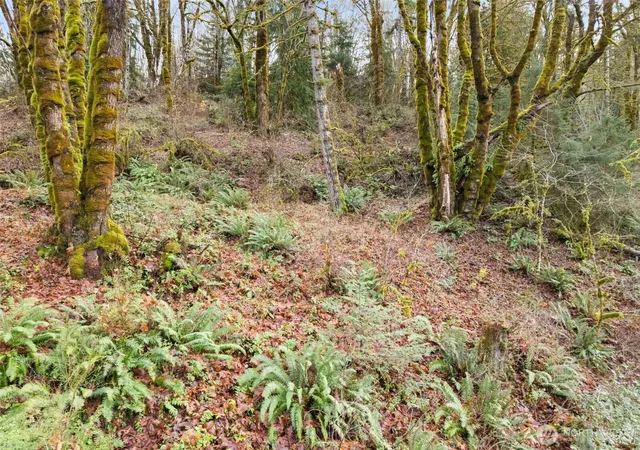 Photo 4 of Land for sale at 0 E Tr 2&3 Agate Rd, Shelton, WA 98584 | MLS# NWM2501924 | Listing updated on 2026-10-01