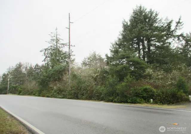 Photo 3 of Land for sale at 553 Dolphin Ave NE, Ocean Shores, WA 98569 | MLS# NWM2502093 | Listing updated on 2026-09-17
