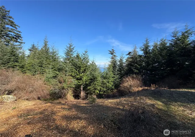 Photo 3 of Land for sale at 36 Coastline Dr, Olga, WA 98279 | MLS# NWM2502113 | Listing updated on 2026-09-17