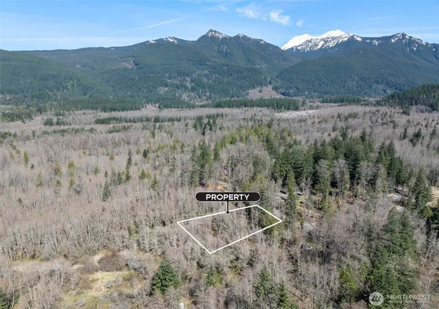 Photo 4 of Land for sale at 0 Xx Fairway Dr, Ashford, WA 98304 | MLS# NWM2502118 | Listing updated on 2026-09-17