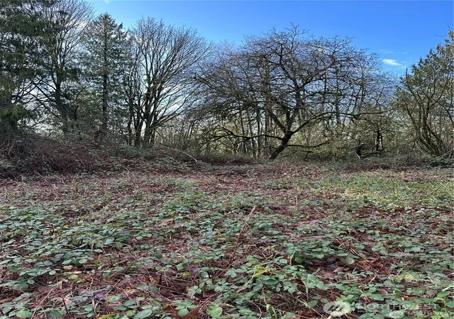 Photo 4 of Land for sale at 0 121st Avenue SE, Snohomish, WA 98290 | MLS# NWM2510829 | Listing updated on 2026-09-17