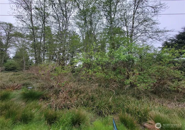 Photo 3 of Land for sale at 789 Mount Olympus Ave Se, Ocean Shores, WA 98569 | MLS# NWM2511568 | Listing updated on 2026-09-17