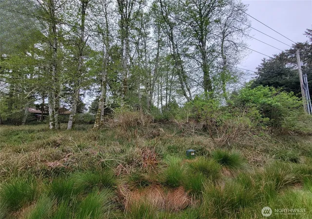 Photo 3 of Land for sale at 789 Mount Olympus Ave SE, Ocean Shores, WA 98569 | MLS# NWM2511568 | Listing updated on 2026-09-17