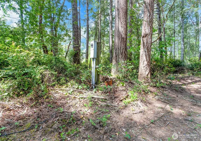 Photo 4 of Land for sale at 16405 84th Street NW, Lakebay, WA 98349 | MLS# NWM2522458 | Listing updated on 2026-09-18