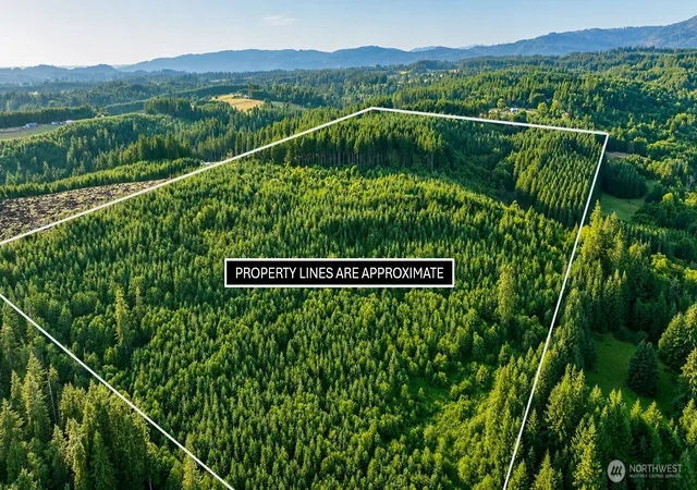 Photo 2 of Land for sale at 0 Ne Finalburg Rd, La Center, WA 98629 | MLS# NWM2522745 | Listing updated on 2026-09-17