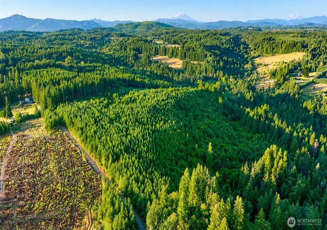 Photo 3 of Land for sale at 0 Ne Finalburg Rd, La Center, WA 98629 | MLS# NWM2522745 | Listing updated on 2026-09-17