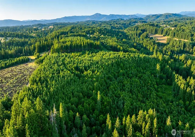 Photo 3 of Land for sale at 0 NE Finalburg Rd, La Center, WA 98629 | MLS# NWM2522745 | Listing updated on 2026-09-17